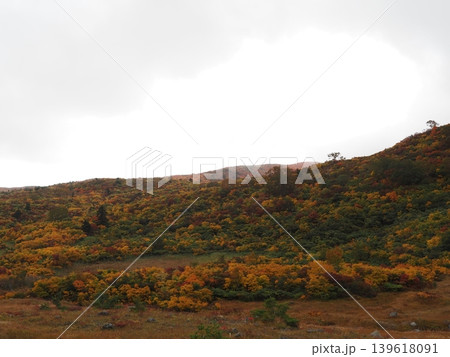 10月上旬の栗駒山(岩手県一関市・宮城県栗原市・秋田県東成瀬村) 10月上旬の栗駒山(岩手県一関市・宮城県栗原市・秋田県東成瀬村) 139618091