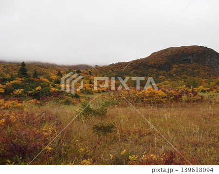 10月上旬の栗駒山(岩手県一関市・宮城県栗原市・秋田県東成瀬村) 10月上旬の栗駒山(岩手県一関市・宮城県栗原市・秋田県東成瀬村) 139618094