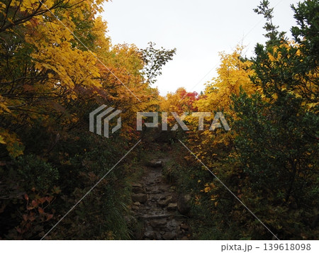 10月上旬の栗駒山(岩手県一関市・宮城県栗原市・秋田県東成瀬村) 10月上旬の栗駒山(岩手県一関市・宮城県栗原市・秋田県東成瀬村) 139618098
