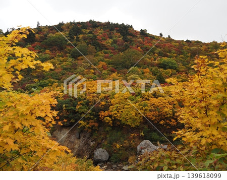 10月上旬の栗駒山(岩手県一関市・宮城県栗原市・秋田県東成瀬村) 10月上旬の栗駒山(岩手県一関市・宮城県栗原市・秋田県東成瀬村) 139618099