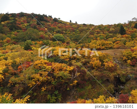 10月上旬の栗駒山（岩手県一関市・宮城県栗原市・秋田県東成瀬村） 139618101
