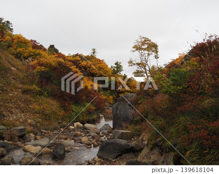 10月上旬の栗駒山(岩手県一関市・宮城県栗原市・秋田県東成瀬村) 10月上旬の栗駒山(岩手県一関市・宮城県栗原市・秋田県東成瀬村) 139618104