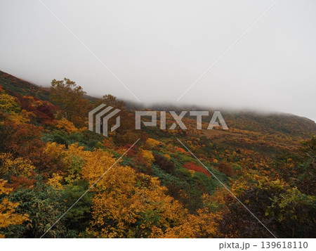 10月上旬の栗駒山(岩手県一関市・宮城県栗原市・秋田県東成瀬村) 10月上旬の栗駒山(岩手県一関市・宮城県栗原市・秋田県東成瀬村) 139618110