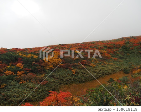 10月上旬の栗駒山(岩手県一関市・宮城県栗原市・秋田県東成瀬村) 10月上旬の栗駒山(岩手県一関市・宮城県栗原市・秋田県東成瀬村) 139618119