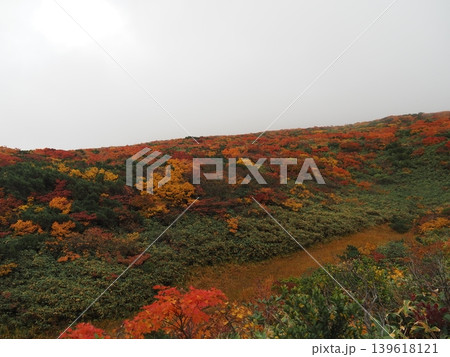 10月上旬の栗駒山(岩手県一関市・宮城県栗原市・秋田県東成瀬村) 10月上旬の栗駒山(岩手県一関市・宮城県栗原市・秋田県東成瀬村) 139618121