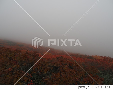 10月上旬の栗駒山(岩手県一関市・宮城県栗原市・秋田県東成瀬村) 10月上旬の栗駒山(岩手県一関市・宮城県栗原市・秋田県東成瀬村) 139618123