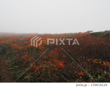 10月上旬の栗駒山(岩手県一関市・宮城県栗原市・秋田県東成瀬村) 10月上旬の栗駒山(岩手県一関市・宮城県栗原市・秋田県東成瀬村) 139618128