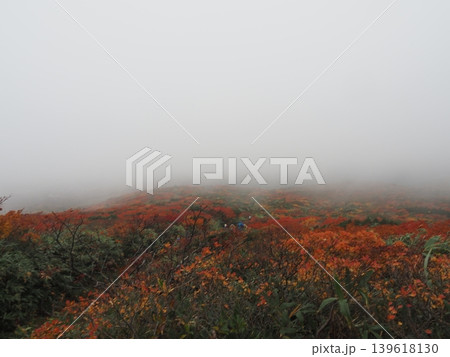 10月上旬の栗駒山(岩手県一関市・宮城県栗原市・秋田県東成瀬村) 10月上旬の栗駒山(岩手県一関市・宮城県栗原市・秋田県東成瀬村) 139618130