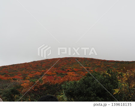 10月上旬の栗駒山(岩手県一関市・宮城県栗原市・秋田県東成瀬村) 10月上旬の栗駒山(岩手県一関市・宮城県栗原市・秋田県東成瀬村) 139618135