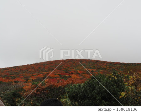 10月上旬の栗駒山(岩手県一関市・宮城県栗原市・秋田県東成瀬村) 10月上旬の栗駒山(岩手県一関市・宮城県栗原市・秋田県東成瀬村) 139618136