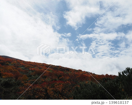 10月上旬の栗駒山(岩手県一関市・宮城県栗原市・秋田県東成瀬村) 10月上旬の栗駒山(岩手県一関市・宮城県栗原市・秋田県東成瀬村) 139618137