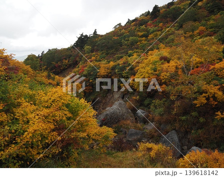 10月上旬の栗駒山(岩手県一関市・宮城県栗原市・秋田県東成瀬村) 10月上旬の栗駒山(岩手県一関市・宮城県栗原市・秋田県東成瀬村) 139618142