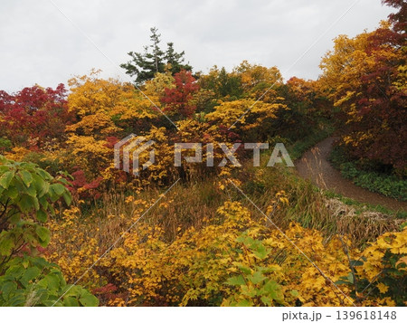 10月上旬の栗駒山(岩手県一関市・宮城県栗原市・秋田県東成瀬村) 10月上旬の栗駒山(岩手県一関市・宮城県栗原市・秋田県東成瀬村) 139618148
