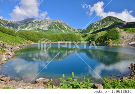 絶景の立山アルパイン　夏景色 139618636