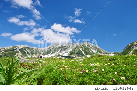 絶景の立山アルパイン　夏景色 139618648