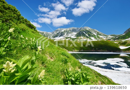 絶景の立山アルパイン 夏景色 絶景の立山アルパイン 夏景色 139618650