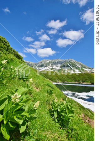 絶景の立山アルパイン　夏景色 139618651