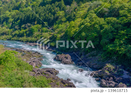 高知県梼原町 八百とどろの渓谷と四万十川水系の絶景 高知県梼原町 八百とどろの渓谷と四万十川水系の絶景 139618715