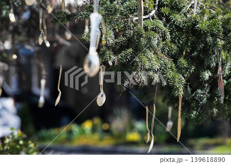 Surreal garden decoration with vintage cutlery dangling from pine needles. Silver spoons and forks hanging from evergreen tree branches outdoors. Surreal garden decoration with vintage cutlery dangling from pine needles. Silver spoons and forks hanging from evergreen tree branches outdoors. 139618890