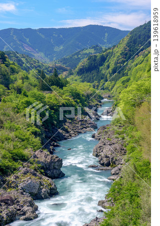 八百とどろ 四万十川水系の急流と奇岩が織りなす渓谷風景 139618959