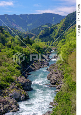 八百とどろ 四万十川水系の急流と奇岩が織りなす渓谷風景 八百とどろ 四万十川水系の急流と奇岩が織りなす渓谷風景 139618960