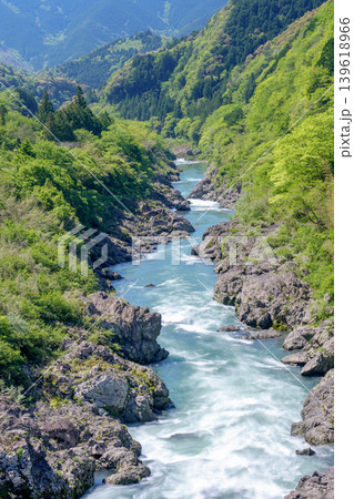 八百とどろ 四万十川水系の急流と奇岩が織りなす渓谷風景 139618966
