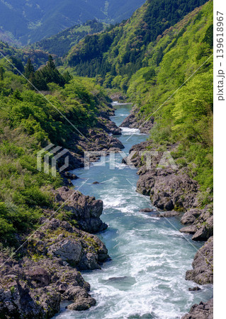 八百とどろ 四万十川水系の急流と奇岩が織りなす渓谷風景 139618967