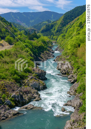 八百とどろ 四万十川水系の急流と奇岩が織りなす渓谷風景 139618976
