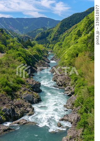 八百とどろ 四万十川水系の急流と奇岩が織りなす渓谷風景 139618977