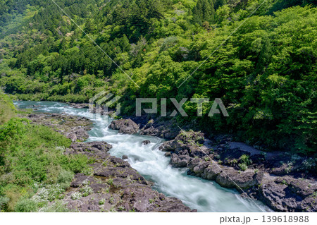 八百とどろ 四万十川水系の急流と奇岩が織りなす渓谷風景 139618988