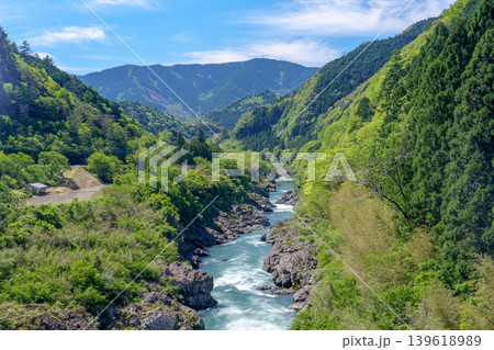 八百とどろ 四万十川水系の急流と奇岩が織りなす渓谷風景 139618989