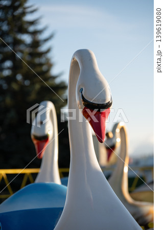 Close-up of swan ride figures in a city fairground under warm sunlight.  Elegant swan ride boats for children in a park, blurred background. 139619080