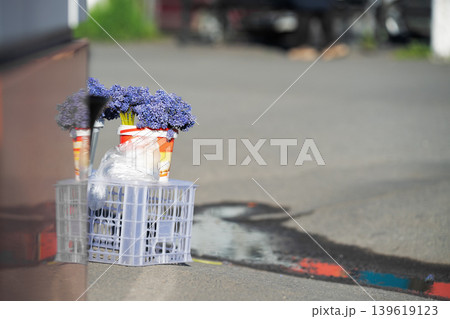 Spring flowers for sale at a local street market, blue grape hyacinths in a bucket. Local street flower trade concept Spring flowers for sale at a local street market, blue grape hyacinths in a bucket. Local street flower trade concept 139619123