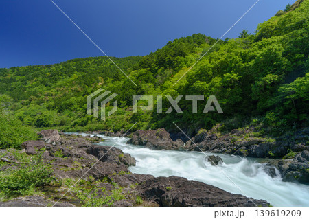 四万十川水系 梼原川 八百とどろの急流と渓谷風景 四万十川水系 梼原川 八百とどろの急流と渓谷風景 139619209