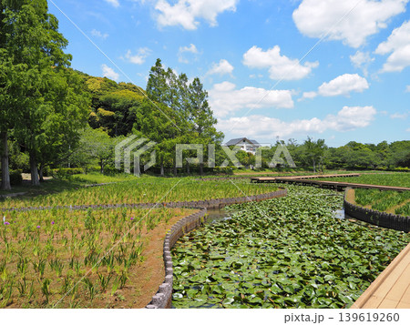 袖ケ浦公園 袖ケ浦公園 139619260