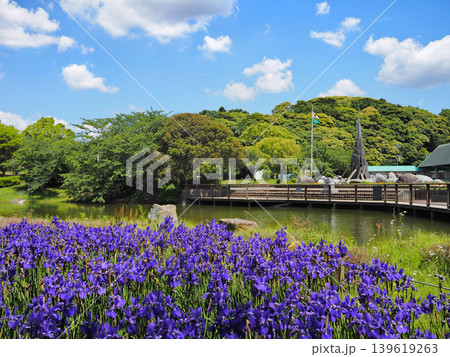 袖ケ浦公園 袖ケ浦公園 139619263