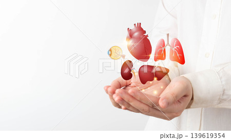 Organ donation and transplantation concept. Doctor hands holding liver, heart, eye, kidney and lung symbol. Health care and medical. Organ donation and transplantation concept. Doctor hands holding liver, heart, eye, kidney and lung symbol. Health care and medical. 139619354