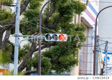 街角の赤信号(点灯中)と電柱・電線の風景 街角の赤信号(点灯中)と電柱・電線の風景 139619419