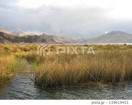 トトラの葦原と山並みが広がるチチカカ湖の風景 トトラの葦原と山並みが広がるチチカカ湖の風景 139619451