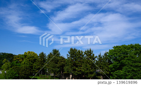 新緑と広い空の風景 新緑と広い空の風景 139619896