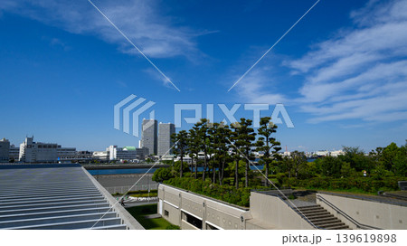 青空と都市公園の風景 青空と都市公園の風景 139619898