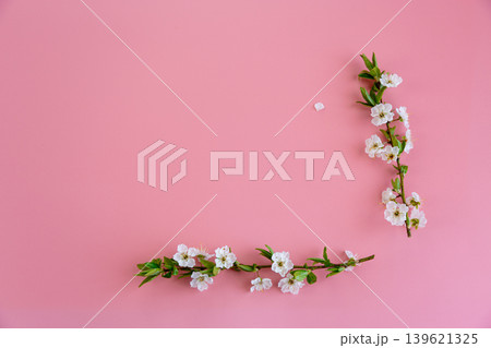 minimal spring background with white blossom branches and copy space minimal spring background with white blossom branches and copy space 139621325