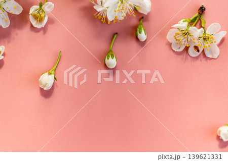 minimal floral composition with white blossoms on pastel pink minimal floral composition with white blossoms on pastel pink 139621331