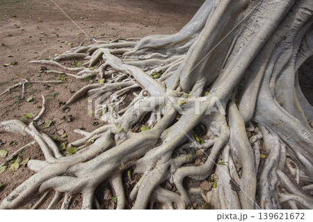 THAILAND SA KAEO PRASAT SADOK KOK THOM THAILAND SA KAEO PRASAT SADOK KOK THOM 139621672