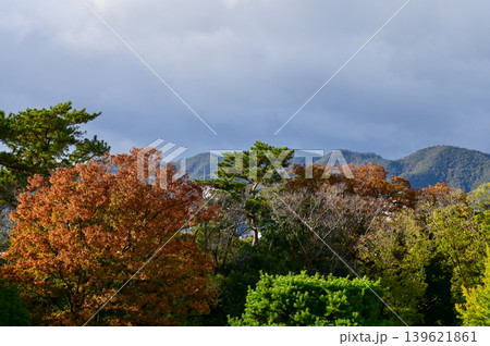 The nature view and city view from the top of nijo jo castle, Kyoto, Japan. World Heritage Site. Major tourist attraction in Kansai region in Japan. Japan famous historic architecture. Nature scene. 139621861