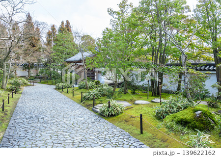 姫路城西御屋敷跡庭園「好古園」の情緒ある石畳の通路と白壁（兵庫県姫路市） 139622162
