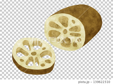 水彩風 れんこんの断面手描きイラスト素材 蓮根 野菜 日本の野菜 139622310