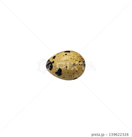 Single quail egg with intricate dark brown and black spots, isolated on a stark white backdrop. 139622326