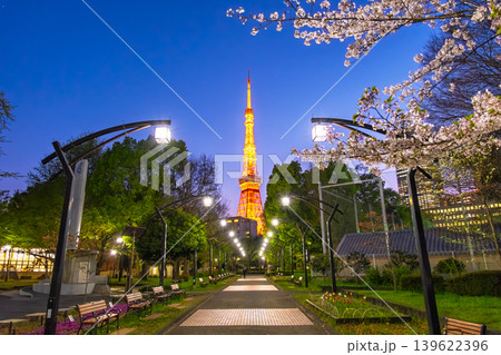 東京都港区 芝公園の遊歩道に咲く美しい夜桜とライトアップされた東京タワーの夜景 東京都港区 芝公園の遊歩道に咲く美しい夜桜とライトアップされた東京タワーの夜景 139622396