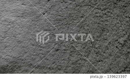 gray shaggy carpet texture soft plush macro fluffy fibers luxurious intricate detailed surface 139623397